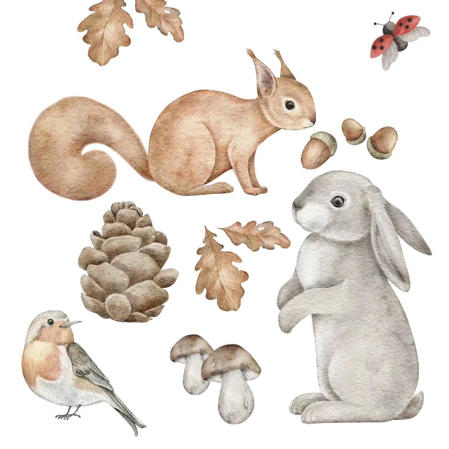 Väggdekor barn med skogsdjur, ekorre, hare och rödhake fina i barnrum